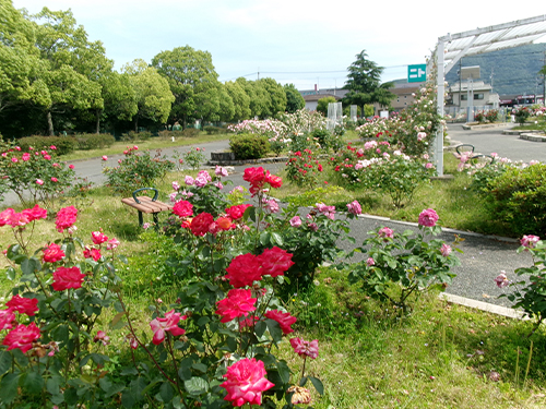 駅家公園ドライブ